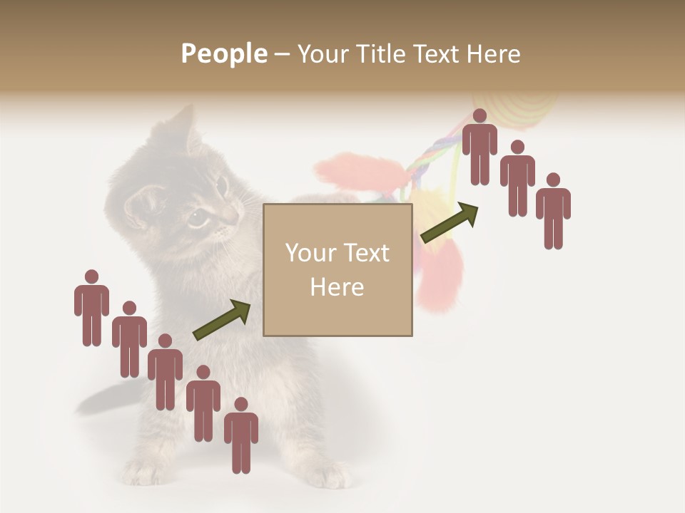 A Kitten Playing With A Toy On A White Background PowerPoint Template