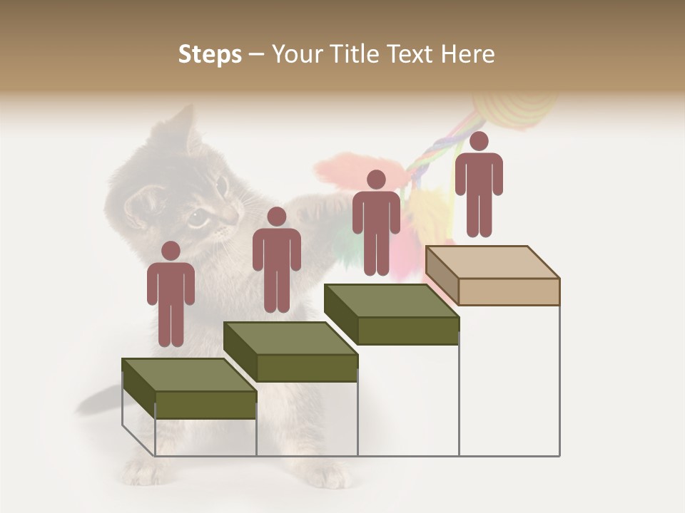A Kitten Playing With A Toy On A White Background PowerPoint Template