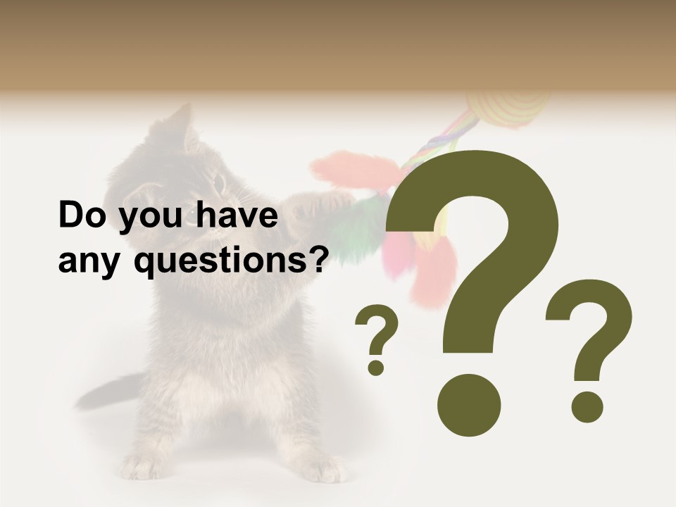 A Kitten Playing With A Toy On A White Background PowerPoint Template