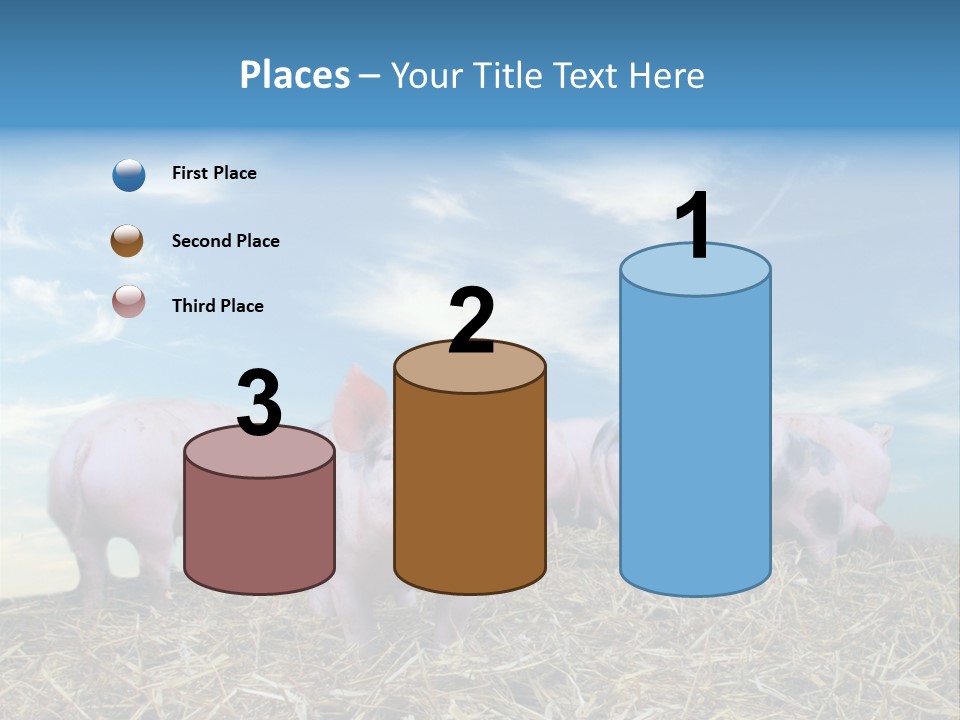 Breed Pink Farm PowerPoint Template