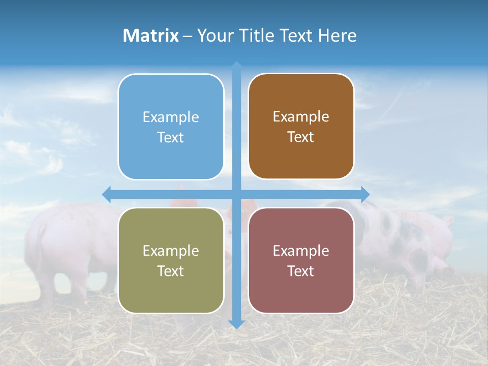 Breed Pink Farm PowerPoint Template