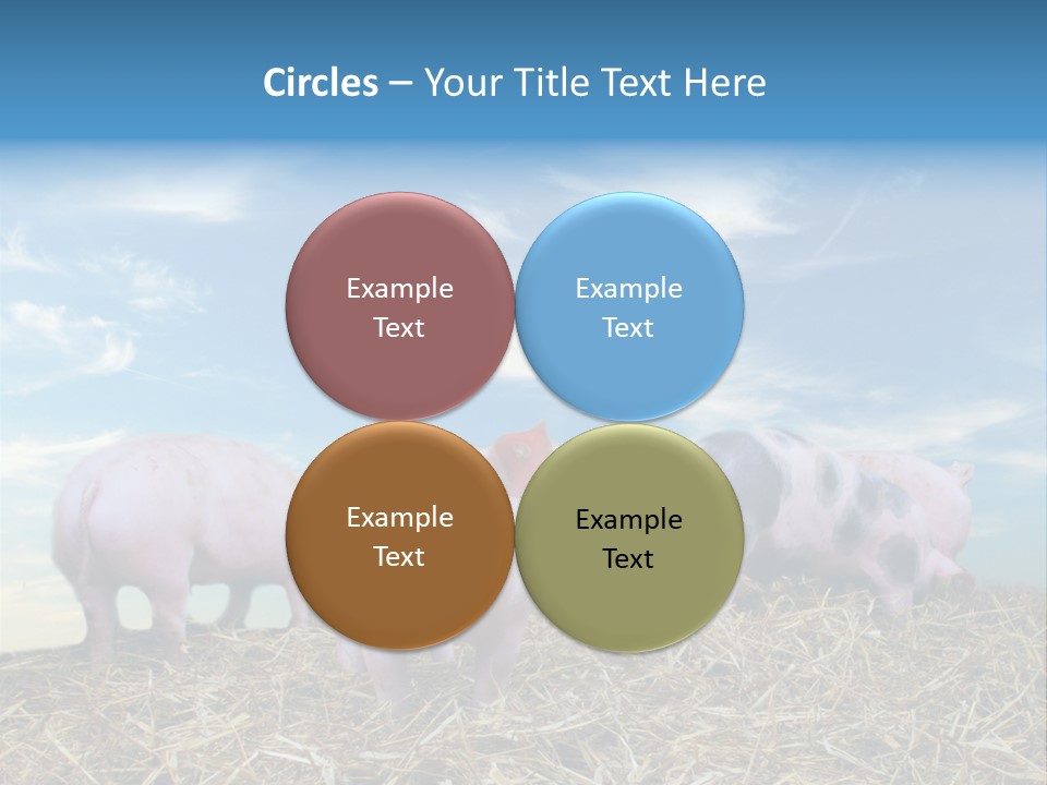 Breed Pink Farm PowerPoint Template