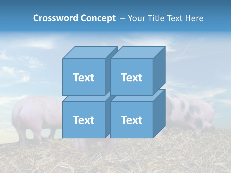 Breed Pink Farm PowerPoint Template