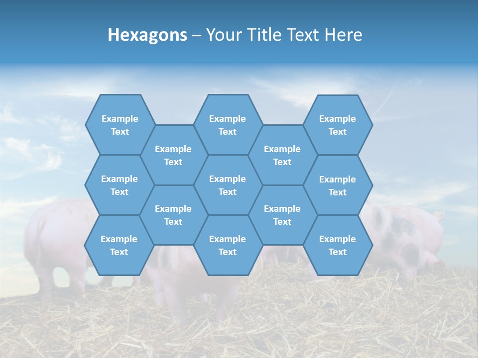 Breed Pink Farm PowerPoint Template