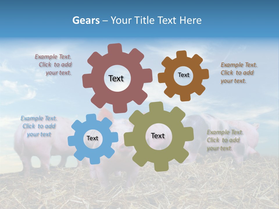 Breed Pink Farm PowerPoint Template