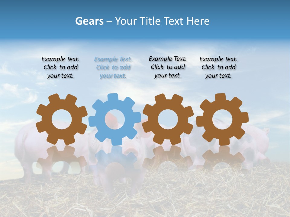 Breed Pink Farm PowerPoint Template