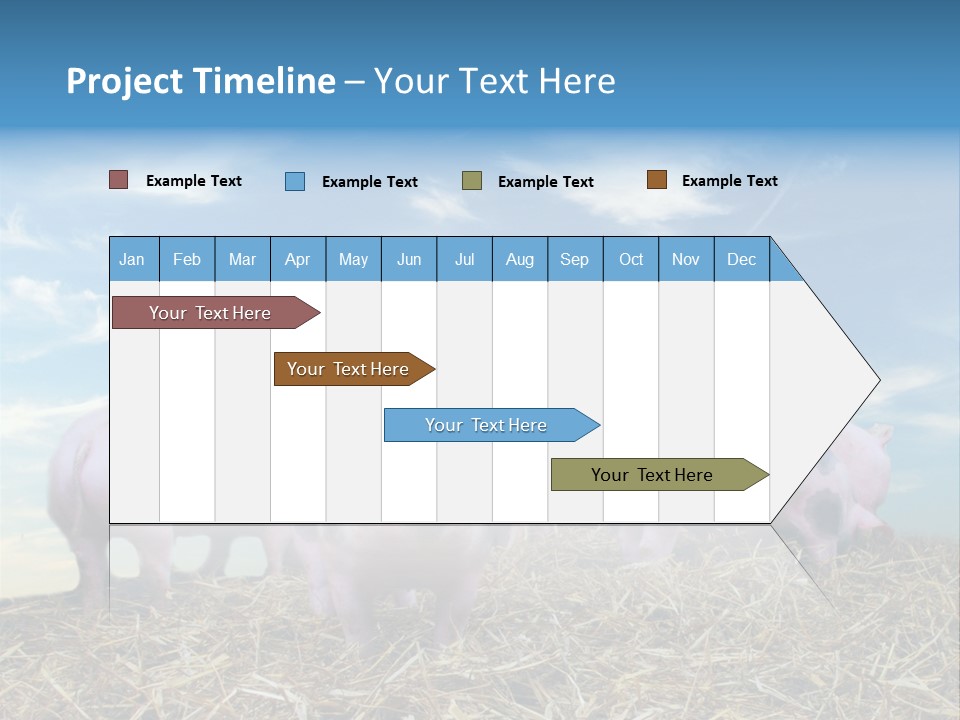 Breed Pink Farm PowerPoint Template