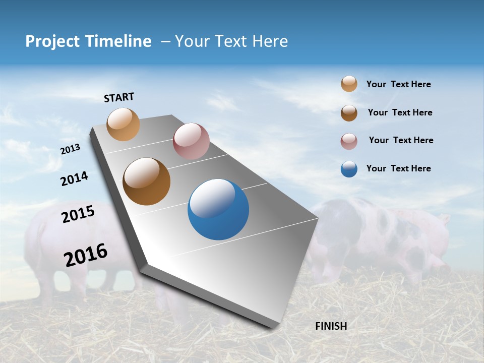 Breed Pink Farm PowerPoint Template