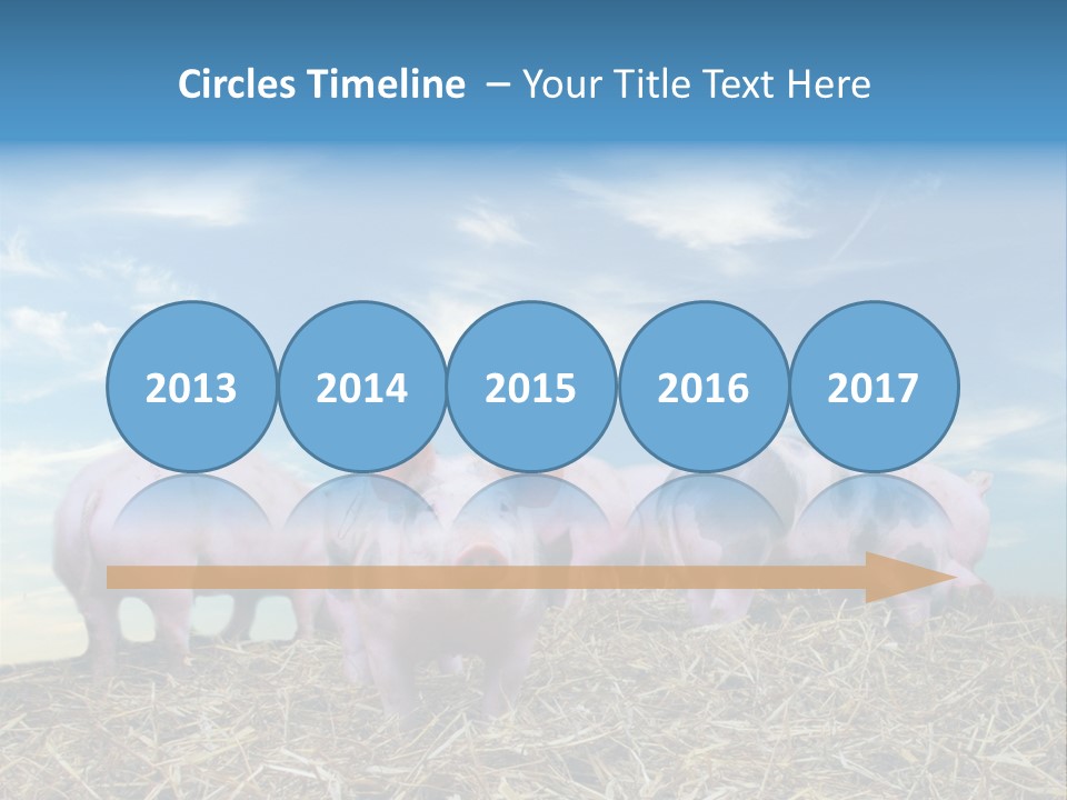 Breed Pink Farm PowerPoint Template