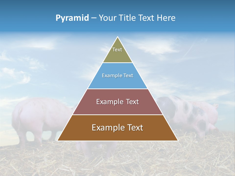 Breed Pink Farm PowerPoint Template