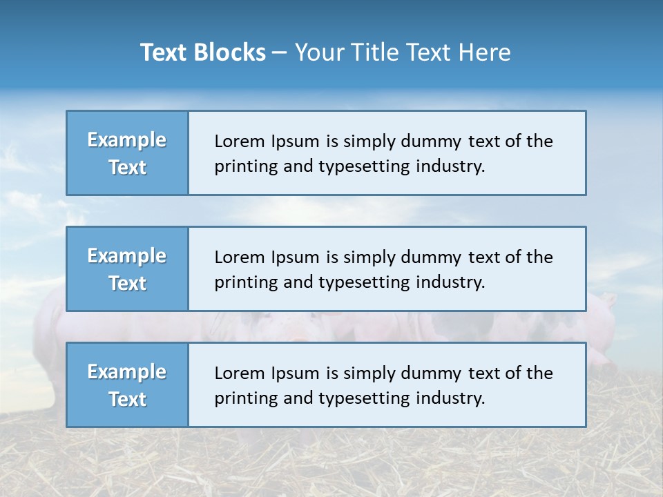 Breed Pink Farm PowerPoint Template