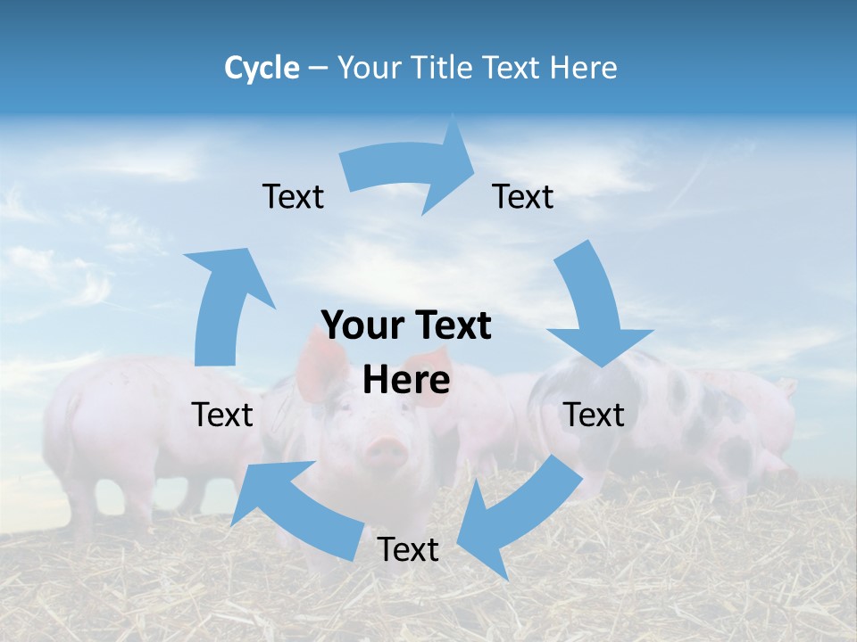 Breed Pink Farm PowerPoint Template