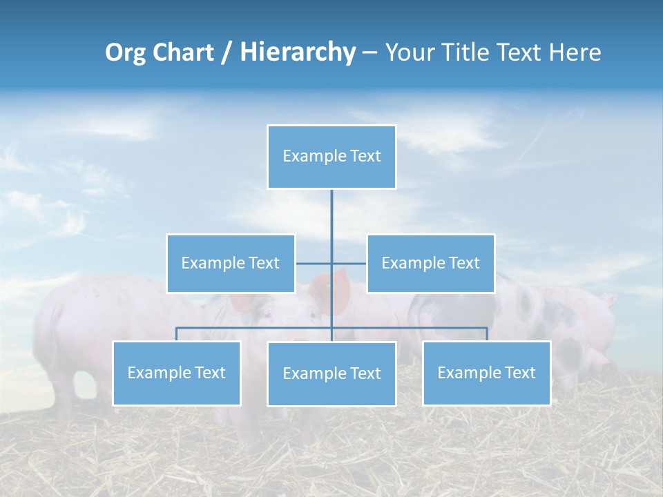 Breed Pink Farm PowerPoint Template