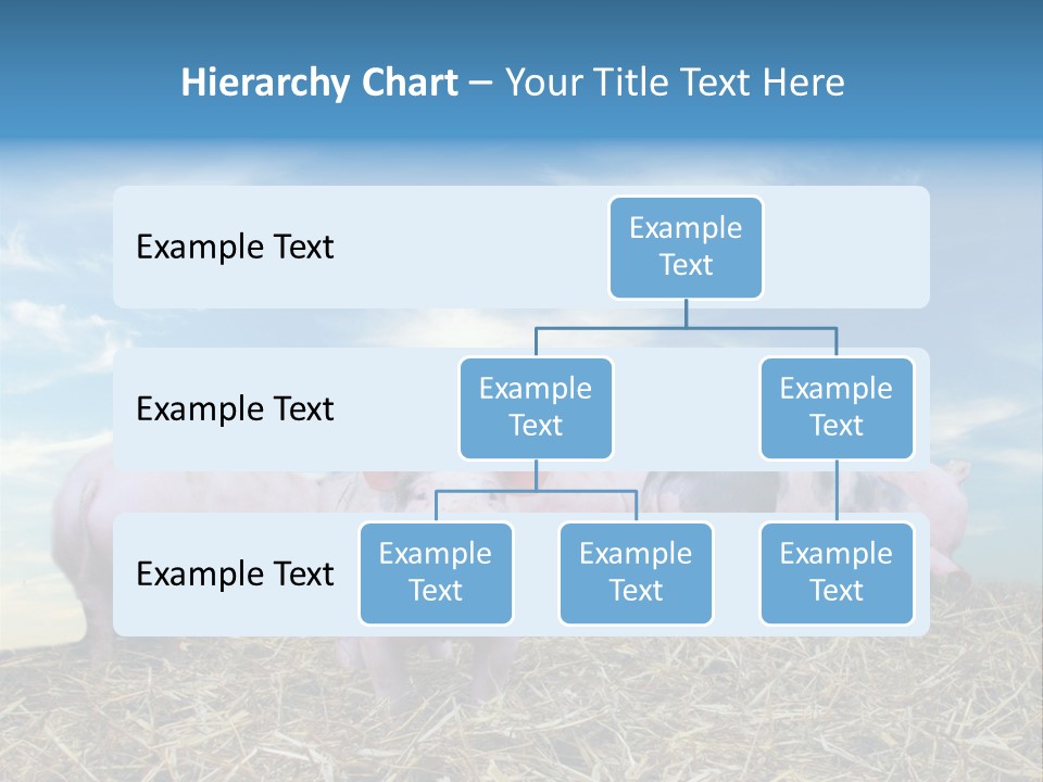 Breed Pink Farm PowerPoint Template