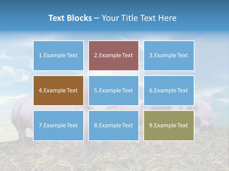 Breed Pink Farm PowerPoint Template