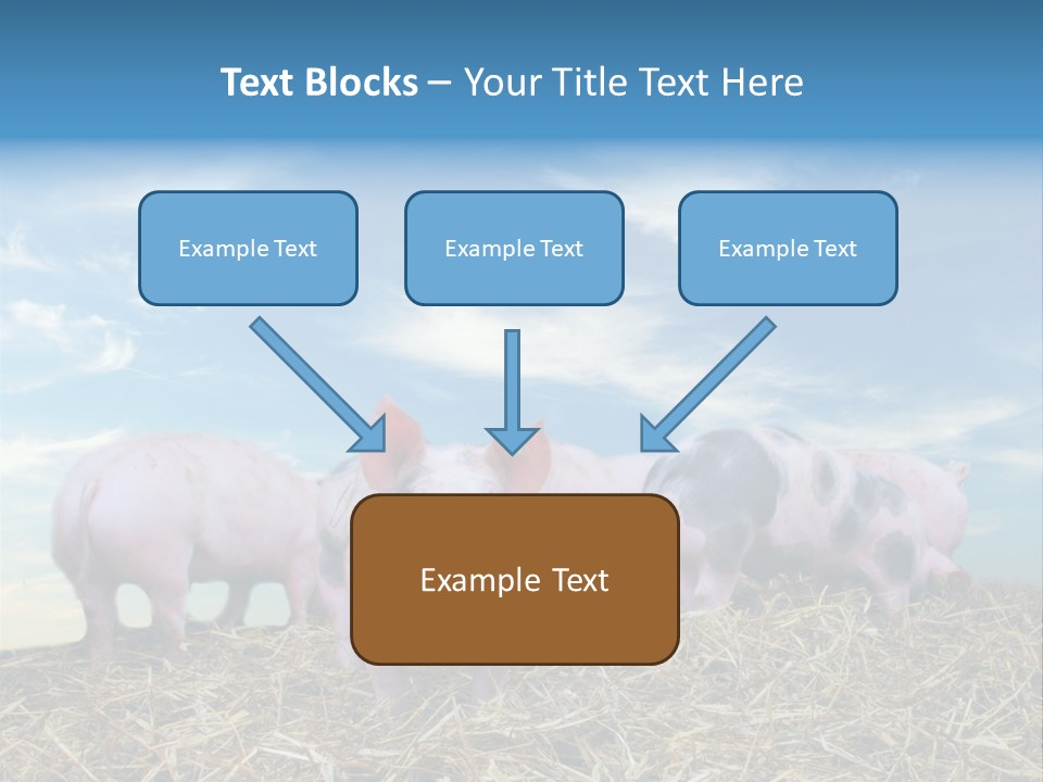 Breed Pink Farm PowerPoint Template