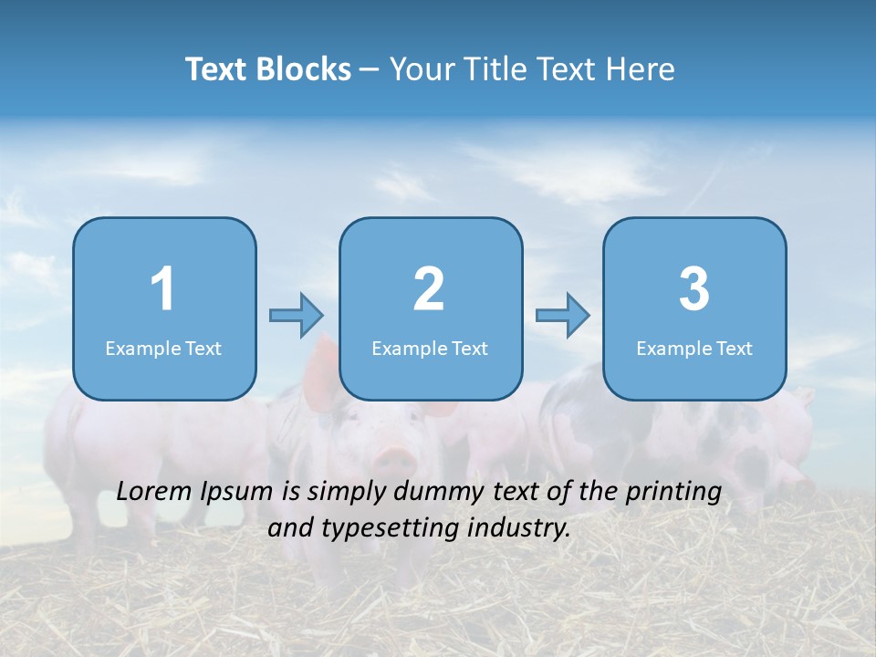 Breed Pink Farm PowerPoint Template