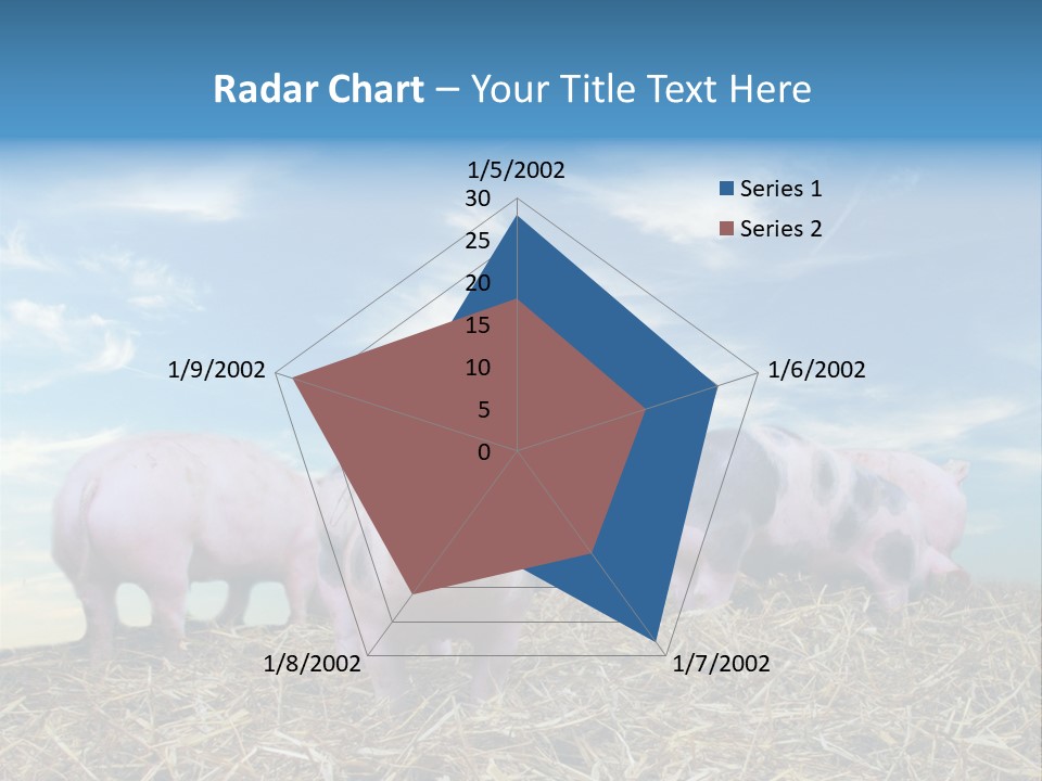 Breed Pink Farm PowerPoint Template