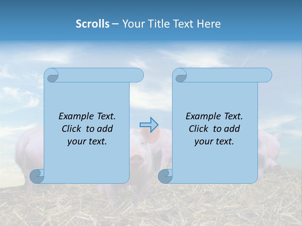 Breed Pink Farm PowerPoint Template