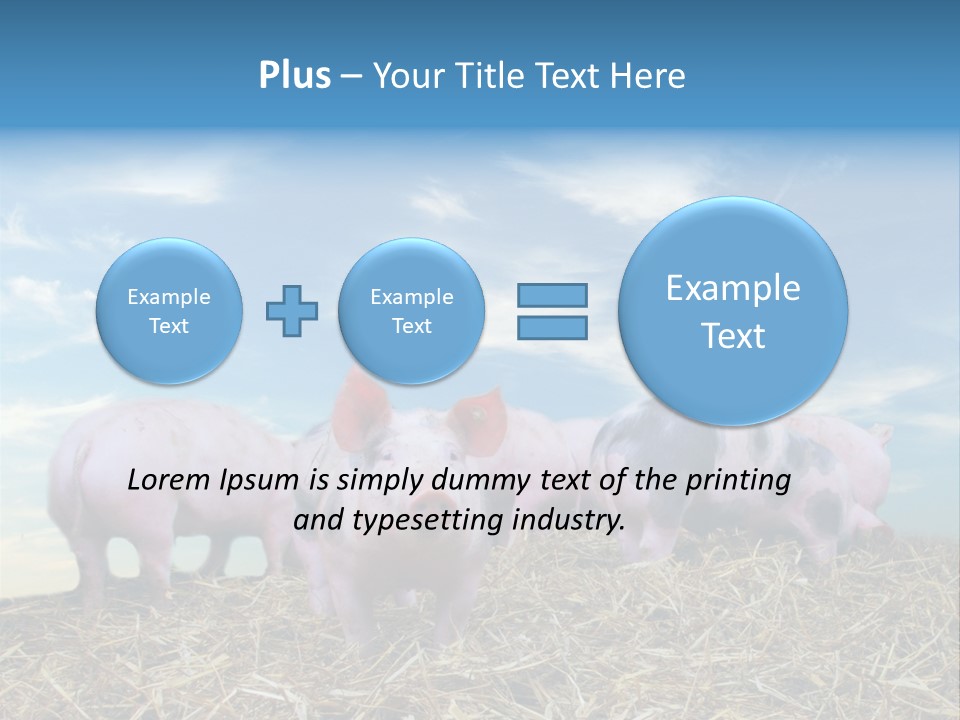 Breed Pink Farm PowerPoint Template