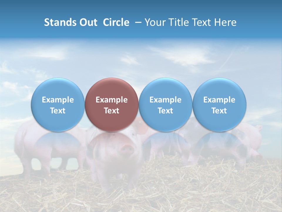 Breed Pink Farm PowerPoint Template