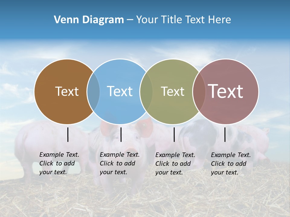 Breed Pink Farm PowerPoint Template