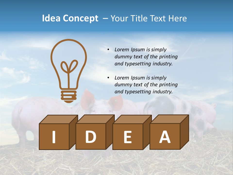 Breed Pink Farm PowerPoint Template