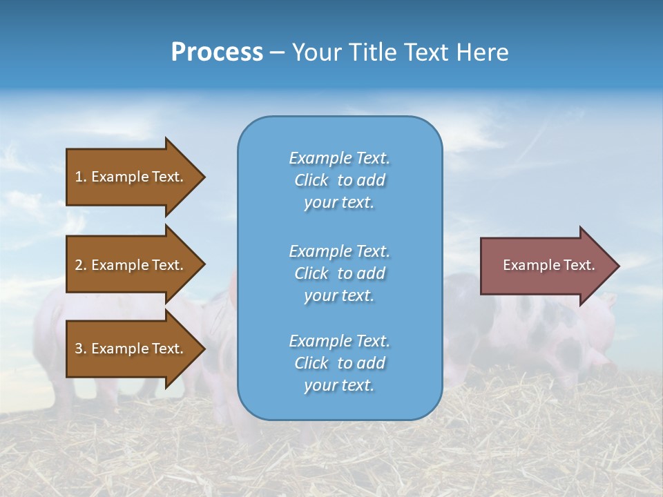 Breed Pink Farm PowerPoint Template
