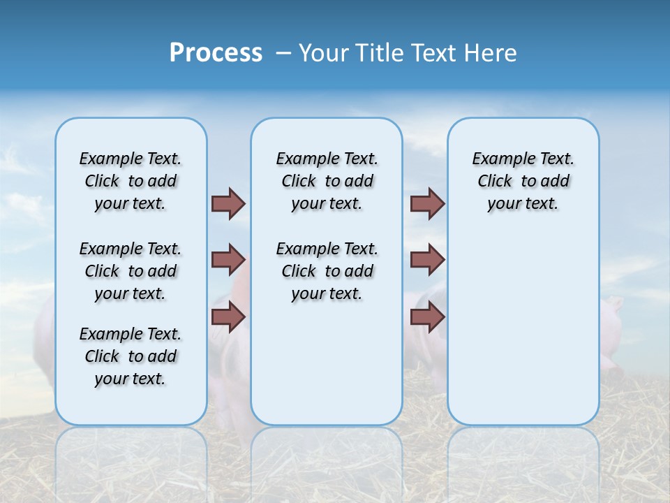 Breed Pink Farm PowerPoint Template