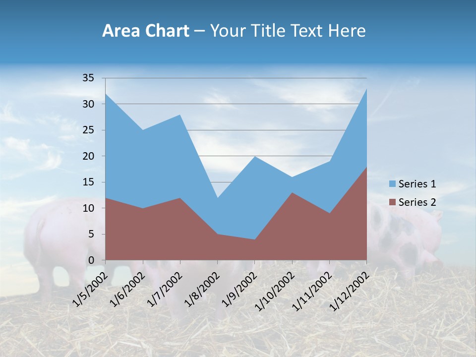 Breed Pink Farm PowerPoint Template