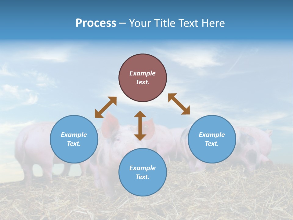 Breed Pink Farm PowerPoint Template