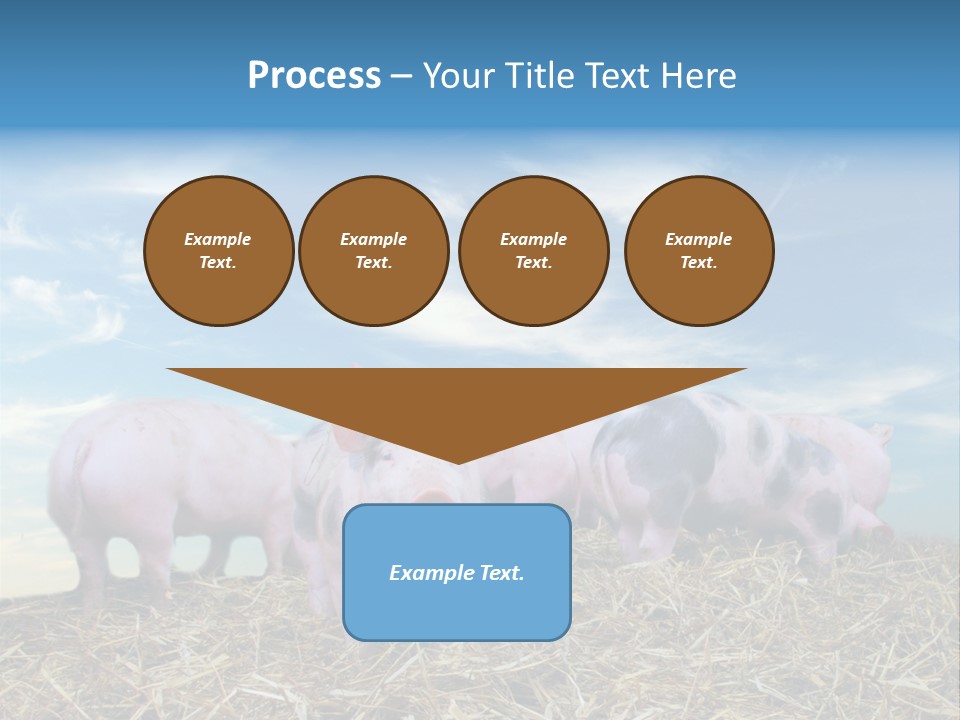 Breed Pink Farm PowerPoint Template