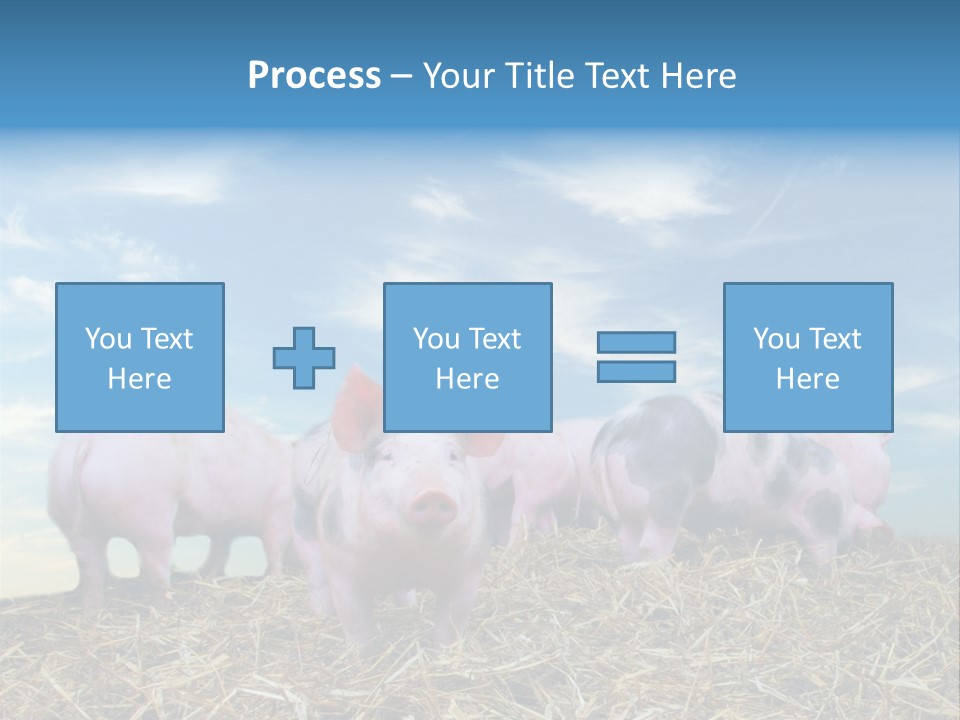 Breed Pink Farm PowerPoint Template
