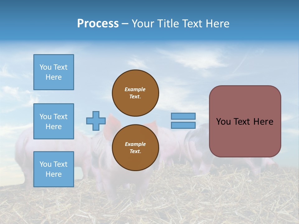 Breed Pink Farm PowerPoint Template
