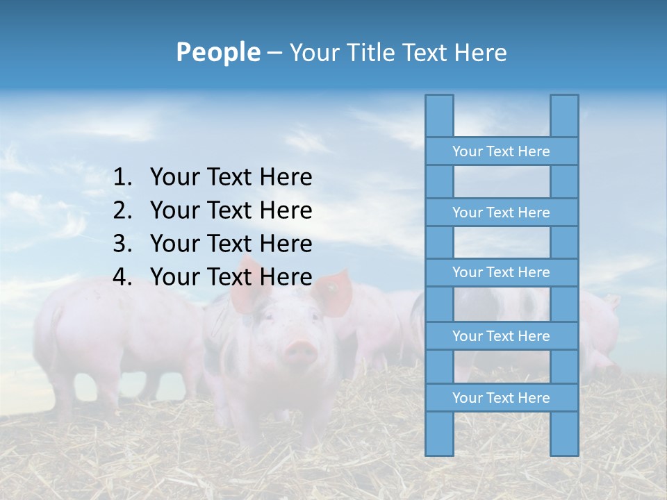 Breed Pink Farm PowerPoint Template