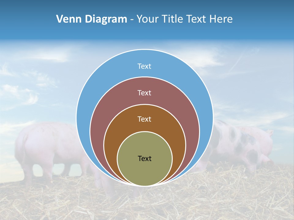 Breed Pink Farm PowerPoint Template