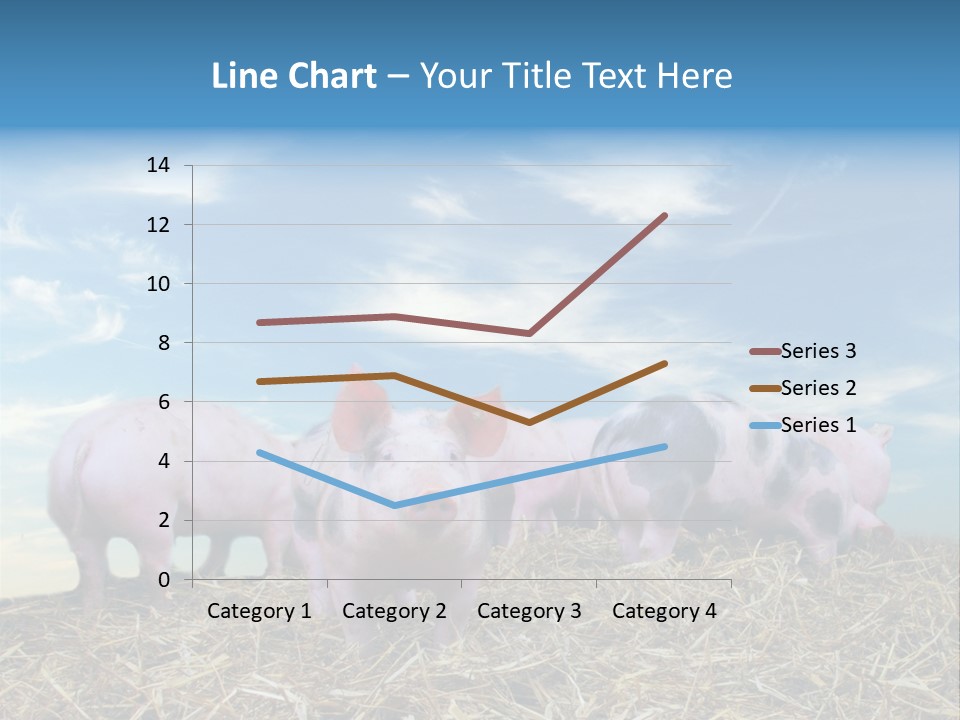 Breed Pink Farm PowerPoint Template