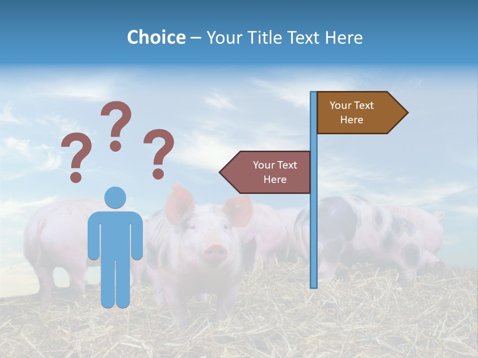 Breed Pink Farm PowerPoint Template