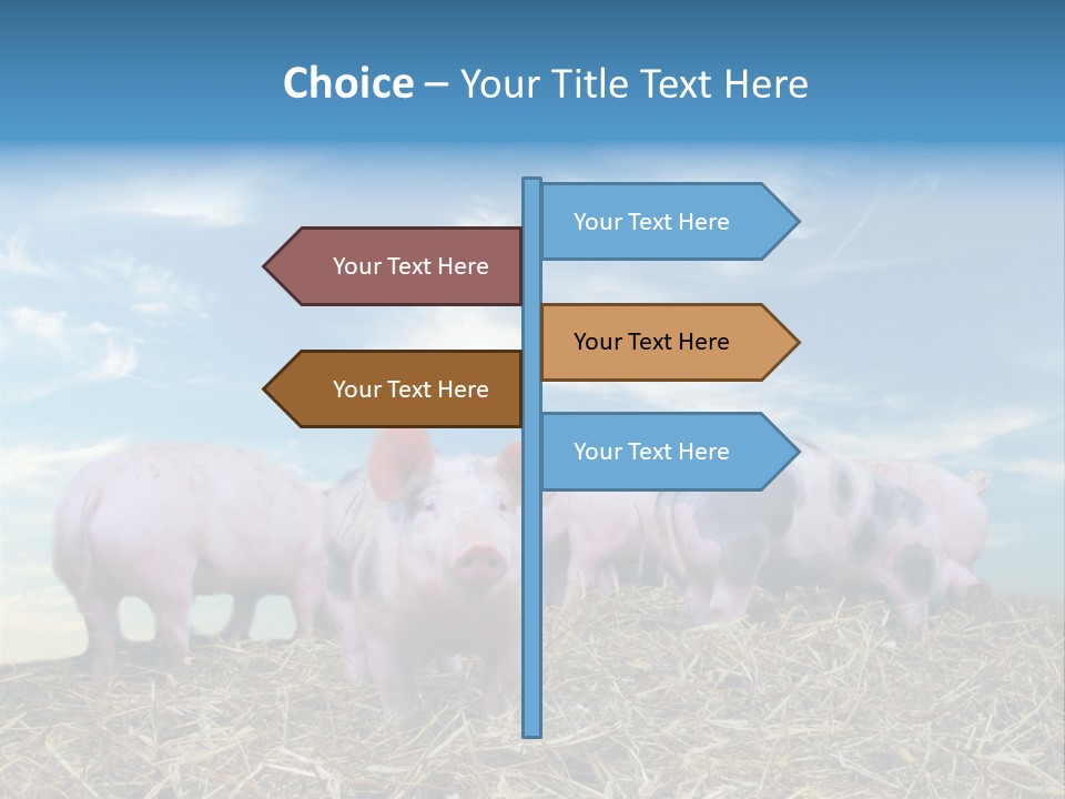 Breed Pink Farm PowerPoint Template