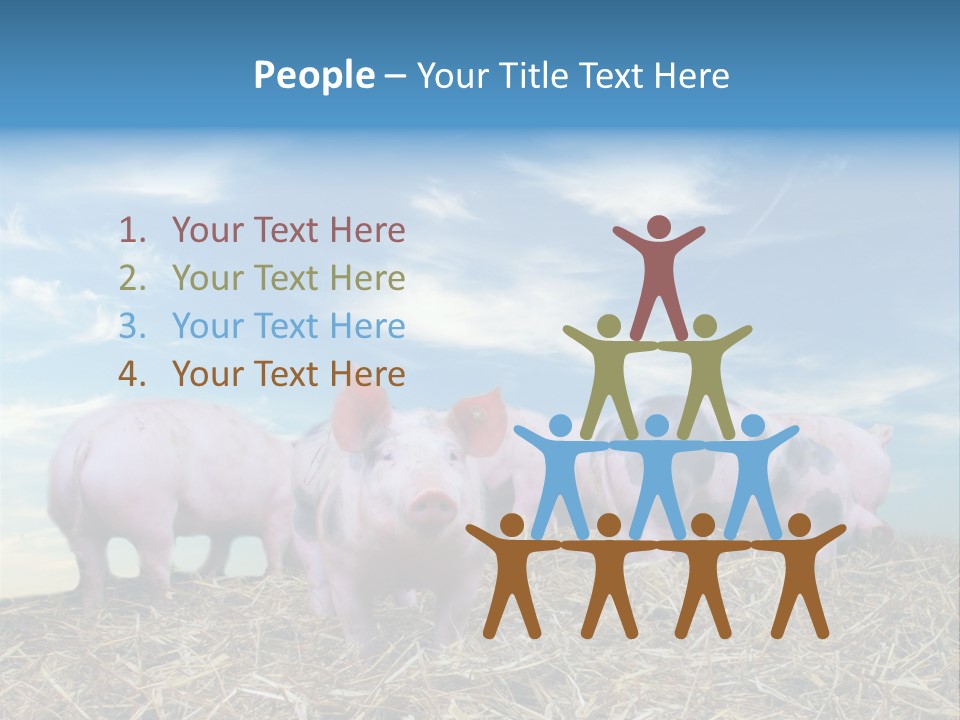 Breed Pink Farm PowerPoint Template