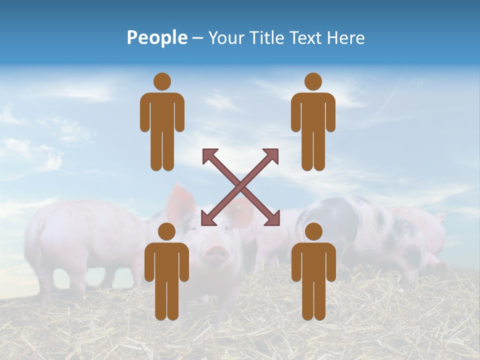 Breed Pink Farm PowerPoint Template