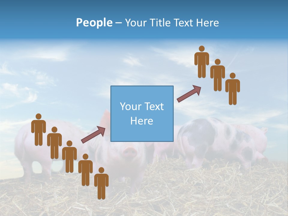 Breed Pink Farm PowerPoint Template