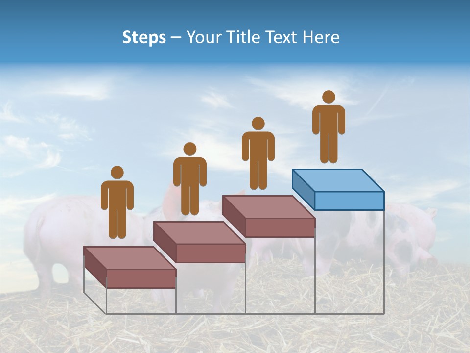 Breed Pink Farm PowerPoint Template