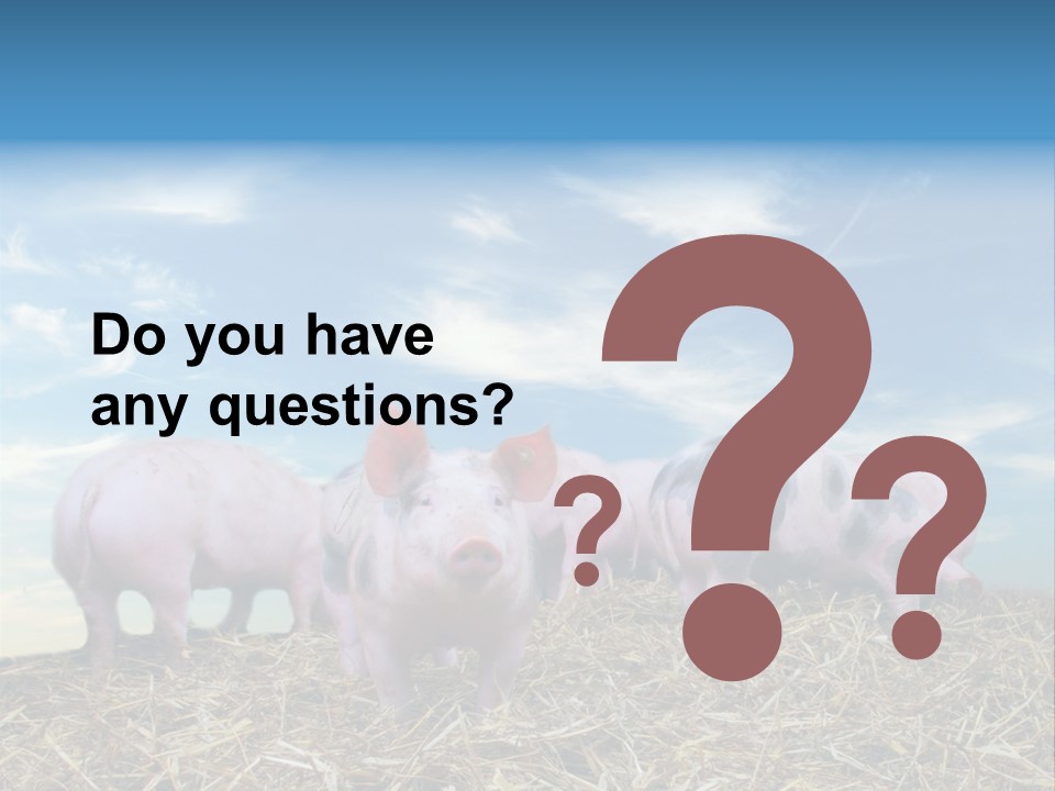 Breed Pink Farm PowerPoint Template