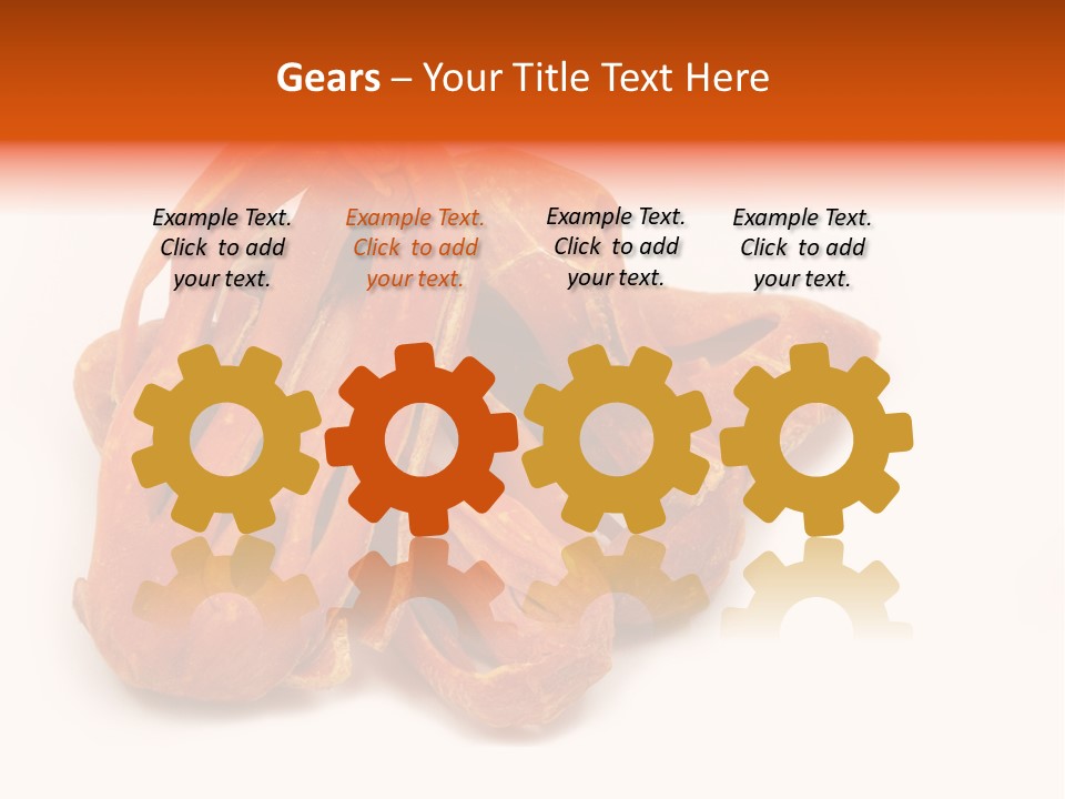 Indian Background Shell PowerPoint Template