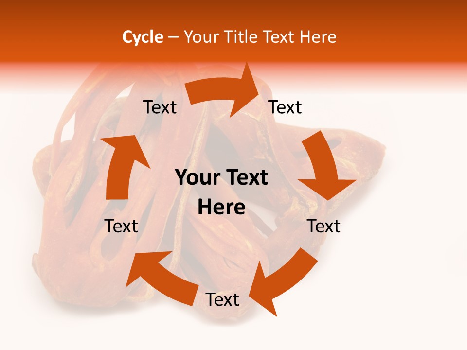 Indian Background Shell PowerPoint Template