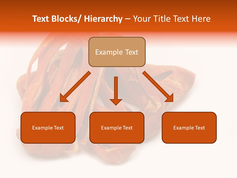 Indian Background Shell PowerPoint Template