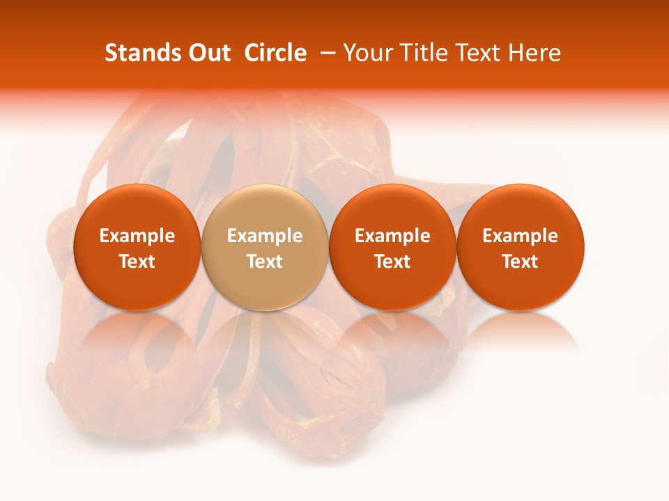 Indian Background Shell PowerPoint Template
