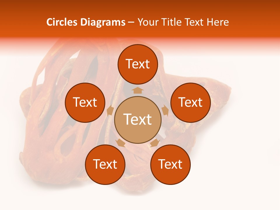 Indian Background Shell PowerPoint Template