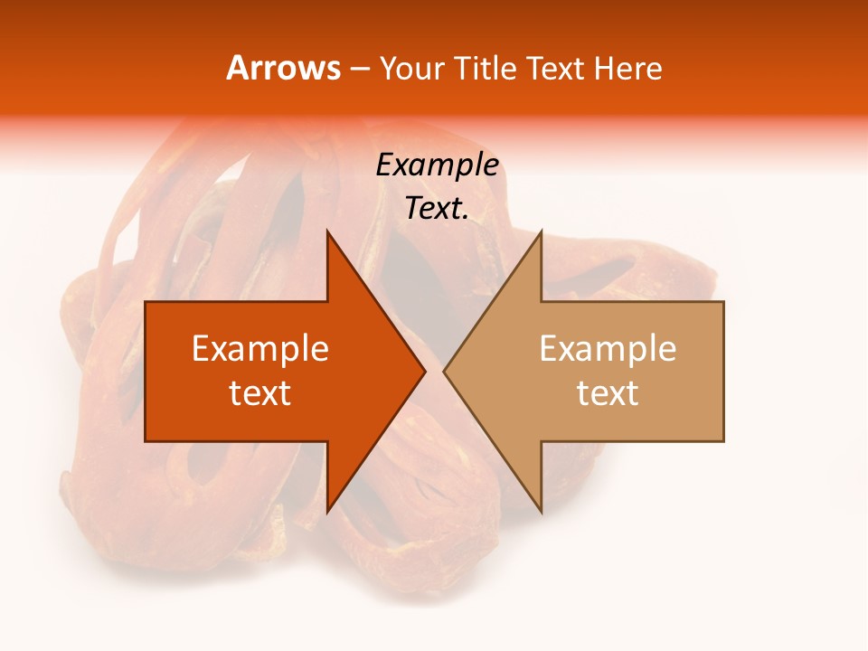 Indian Background Shell PowerPoint Template